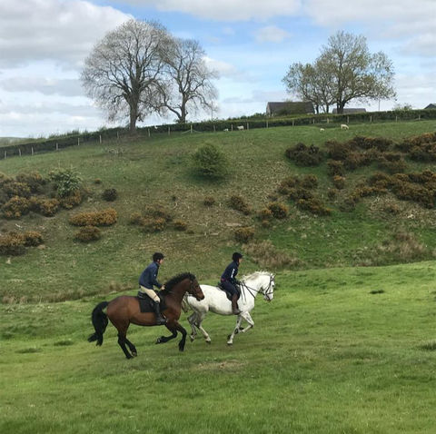 Netherton Hall Livery Yard