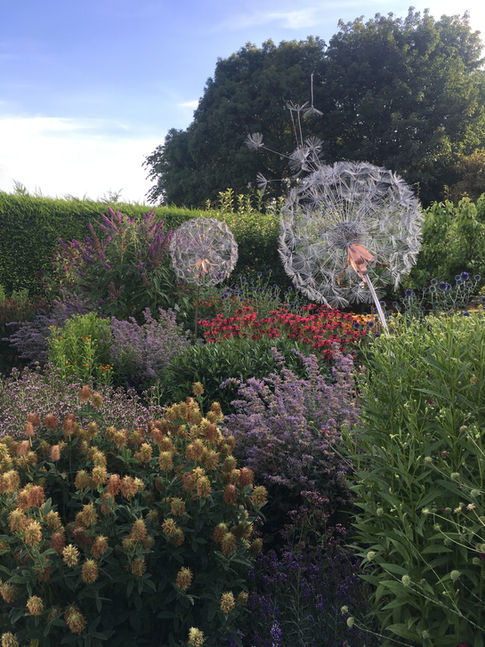 Giant Dandelion Sculptures situated in a beautiful country cottage garden.