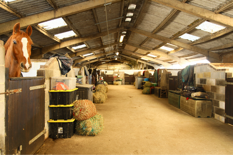 Netherton Hall Livery Yard