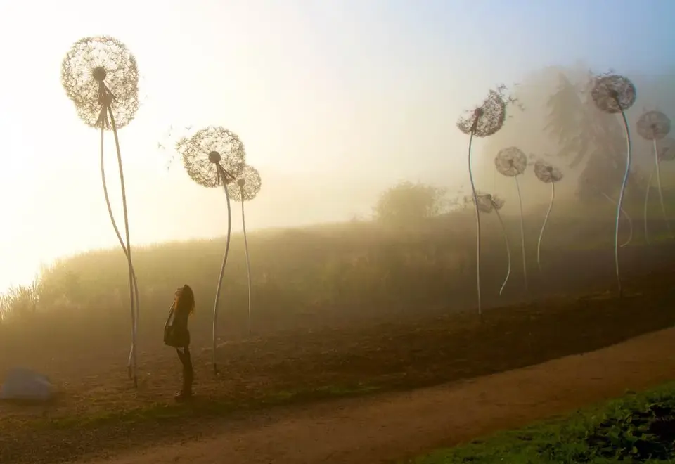Giant Dandelion Sculpture - with Amy stood below on a misty morning.