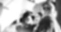 people laughing and talking outside during daytime_edited.jpg