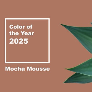 Finding Inspiration in Colour