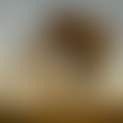 Wiltshire Autumn Landscape