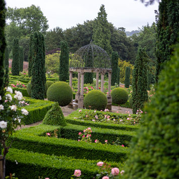A view over the rose gardens