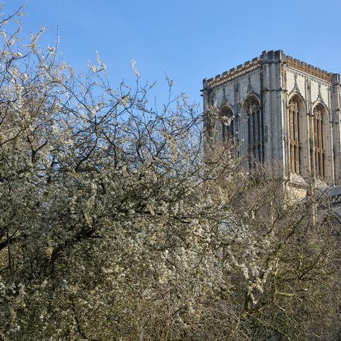 Purey Cust House in York (Exterior View of York Minster from The House)