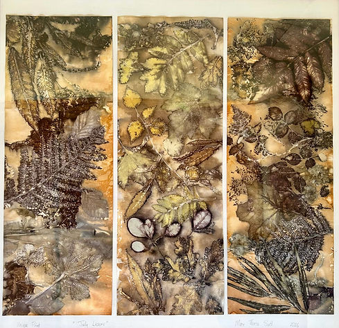Hopton Hall Month of Art 2nd place: Marie Theresa South: July Leaves