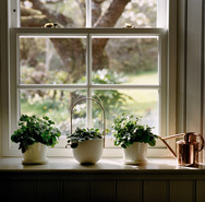 Window ledge kitchen-1.jpeg