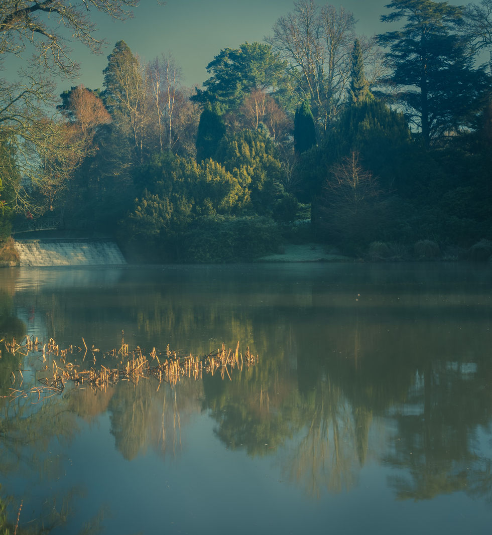 Sheffield Park - historic parkland and woodland