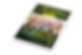 minimal-mockup-of-a-paperback-book-place