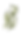 flores.png