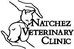 image000000.gif