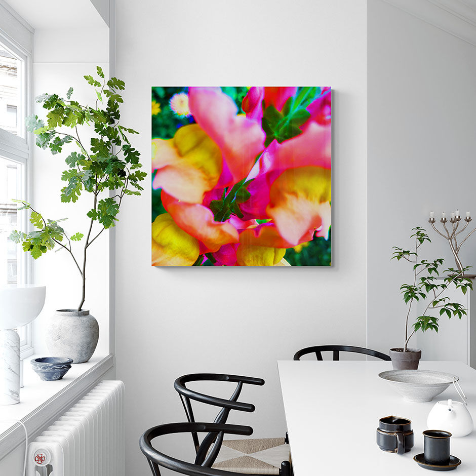 INSTANT FLOWERS | Fotokunst med fargerike blomstermotiv