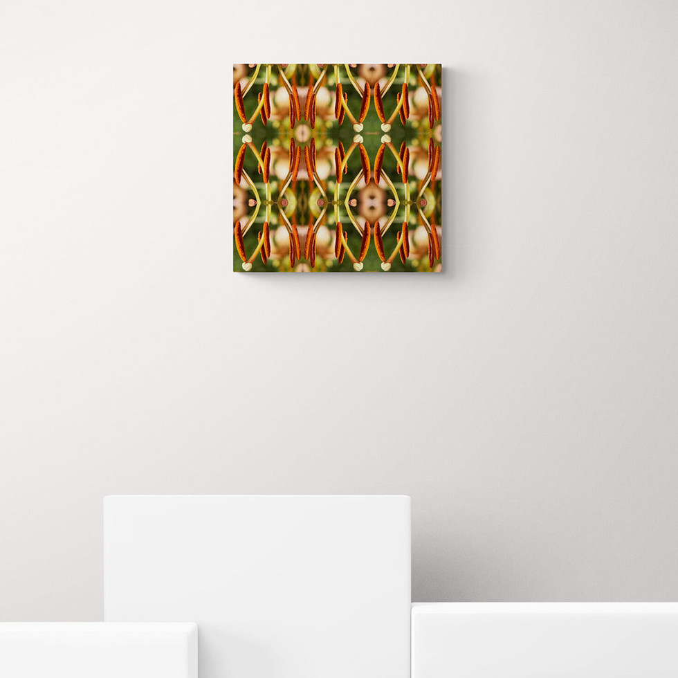 Fotokunst | BLURRY SEED - 2 (60 x 60 cm)