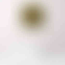 Fotokunst | BLURRY SEED - 4 (60 x 60 cm)