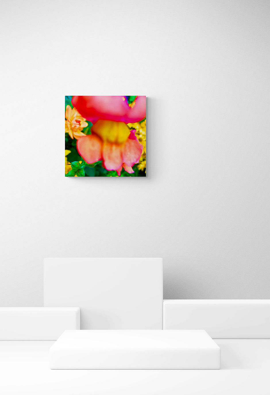 Fotokunst | INSTANT FLOWERS - 1 (60 x 60 cm)
