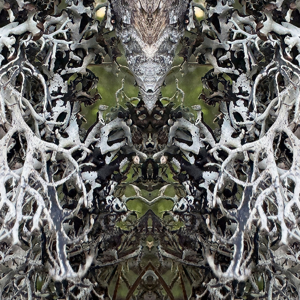 ____20.06.26. Bilde - SACRED FOREST - The Devil, 60 x 40 cm, til NETTSIDEN- Forsiden.jpg