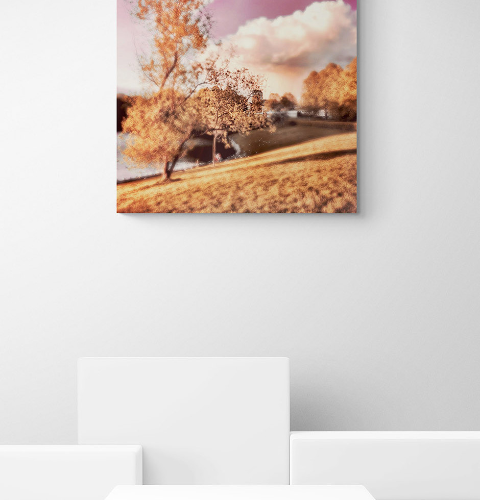 Fotokunst | SOFT REALITY - The Park (100 x 100 cm)