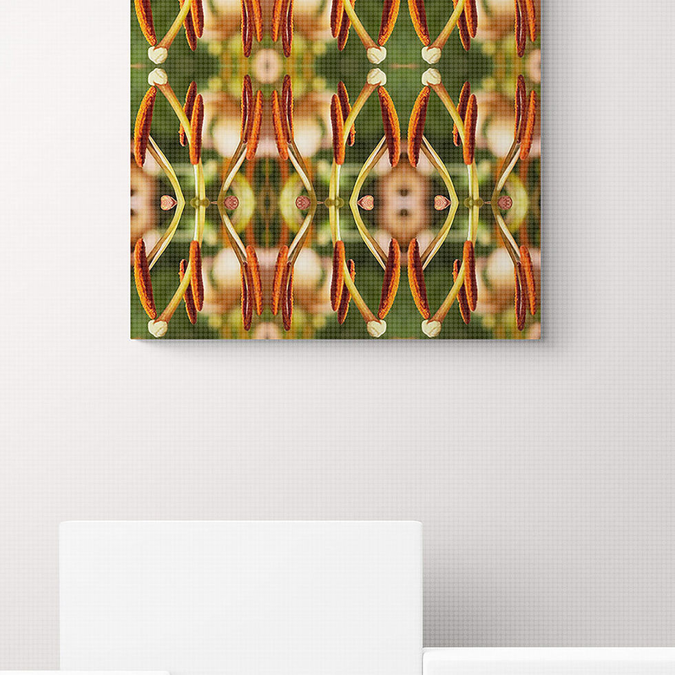 Fotokunst | BLURRY SEED - 2 (100 x 100 cm)