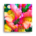 Fotokunst | INSTANT FLOWERS - 6 (60 x 60 cm)