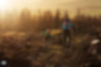 trail 15.jpg