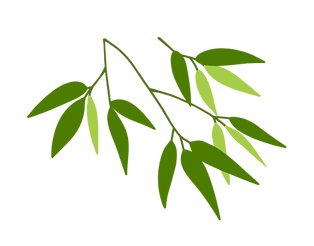 13.png