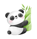 12.png