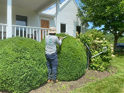 Maintenance Services