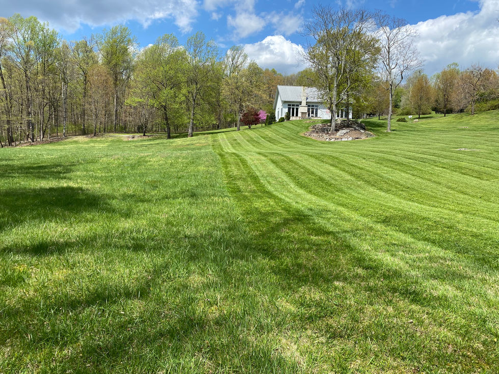 Landscaping