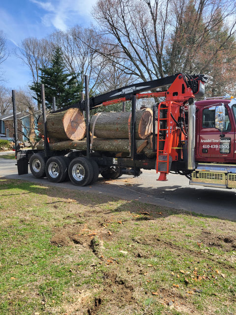 Log truck hauling large log from a commercial project