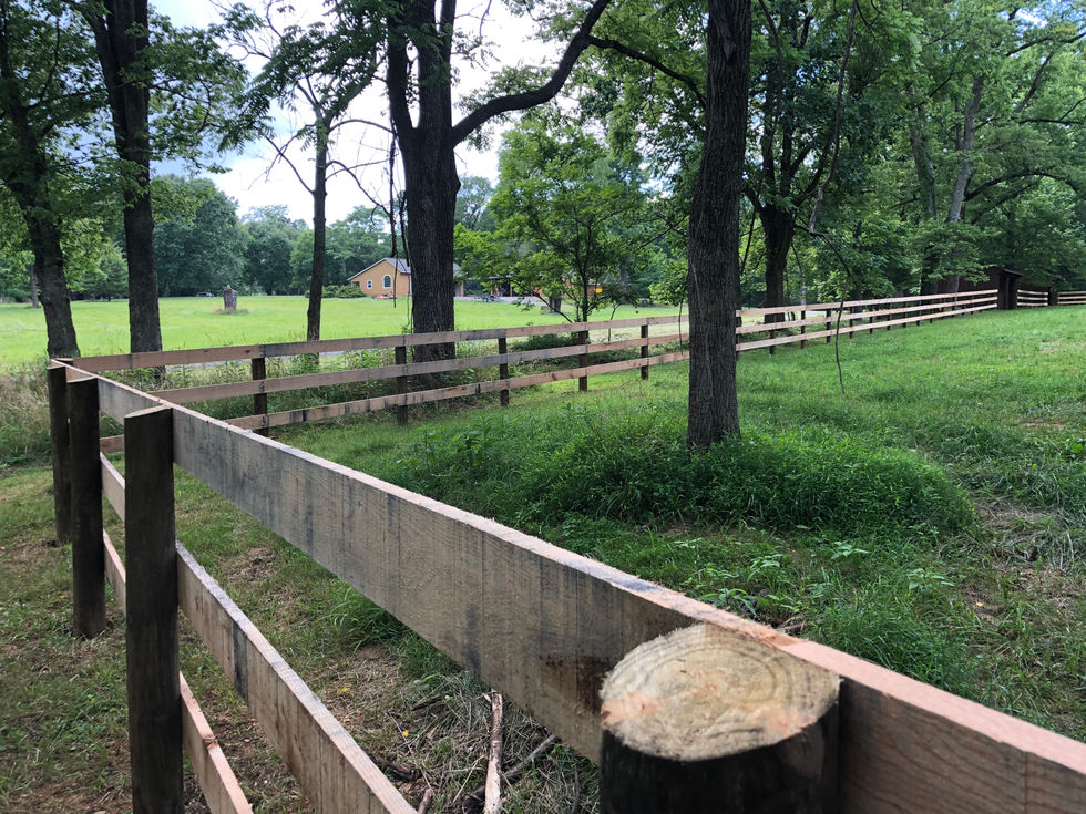 Fencing