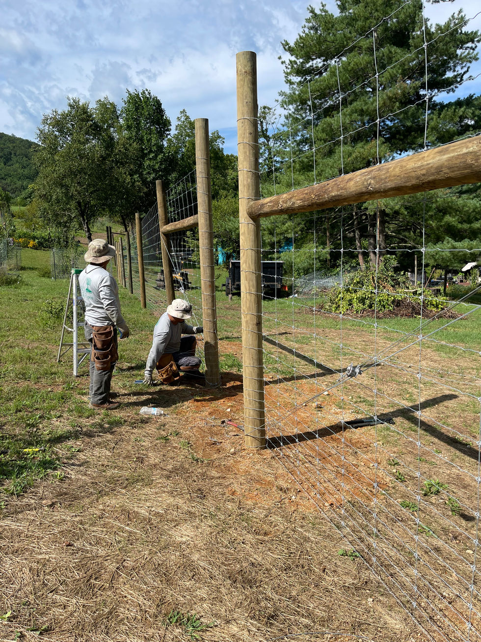 Fencing