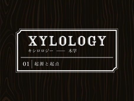 XYLOLOGY