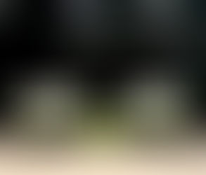 Project Reveal: Northstar Diagnostic Imaging