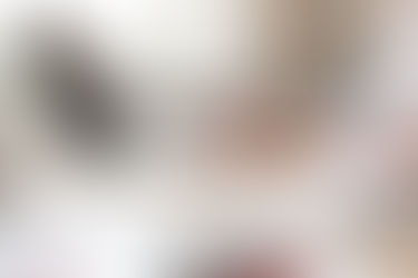 Continuing Education: Upcoming Industry CEU'S and Webinars