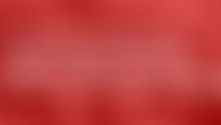 Check out what we have been up to!