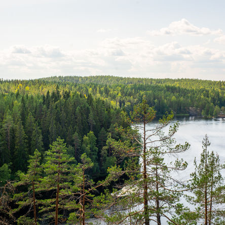 Repoveden kansallispuisto