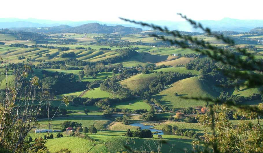 View-across-comboyne-by-Paul-Koch