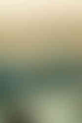 harbour with buildings