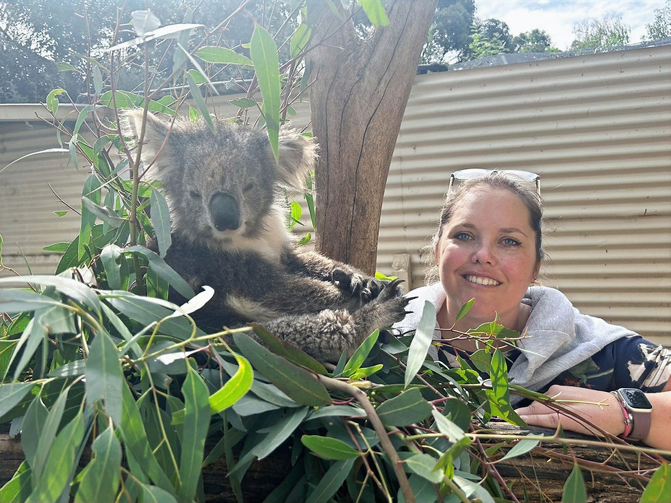 smiling woman outdoors feeding a koala bear