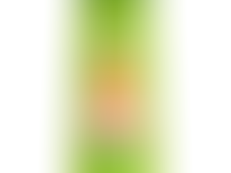 Garnier Fructis Vitamin & Strength Sampon gyenge töredezés miatt hullásra hajlamos hajra