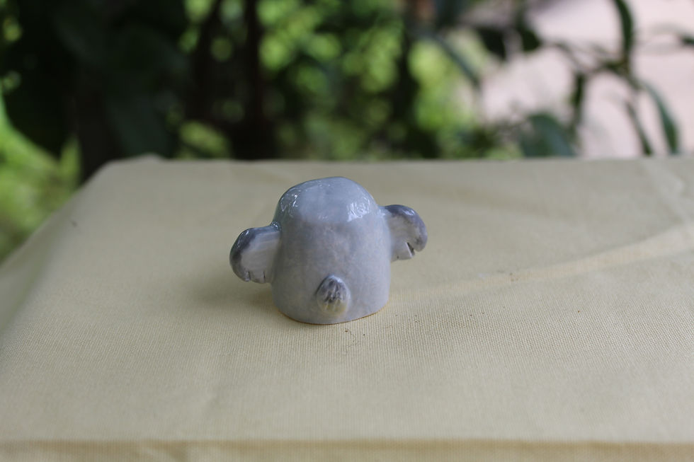 Thumbnail: Little Koala