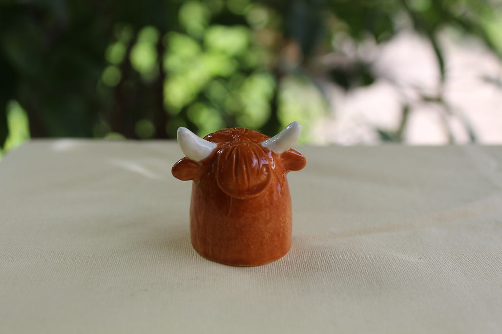 Thumbnail: Little Highland Cow