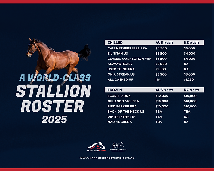 Stallion Rosterfinal.png