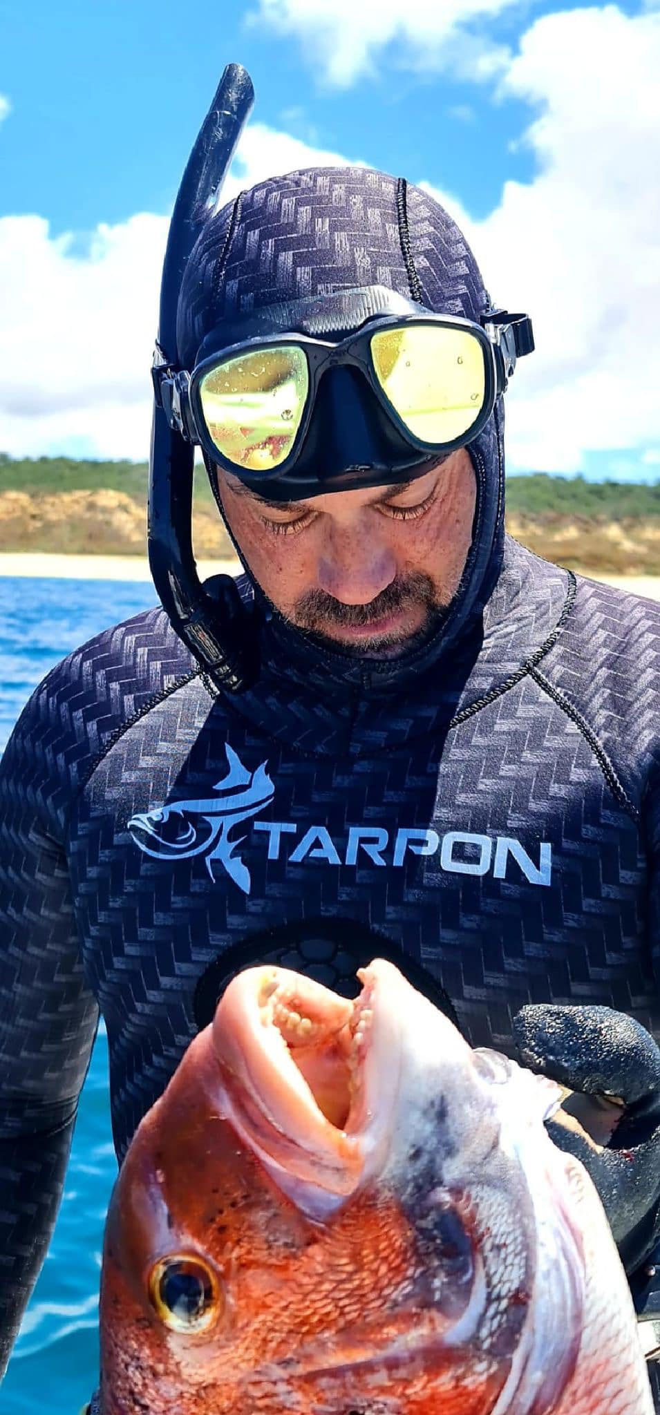 Thumbnail: Tarpon v3