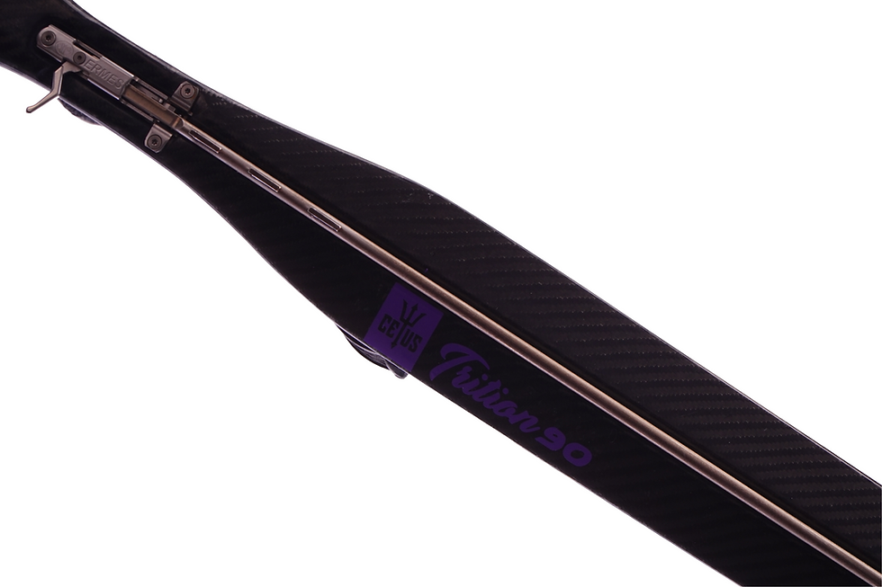 Thumbnail: TRITON 90 Classic