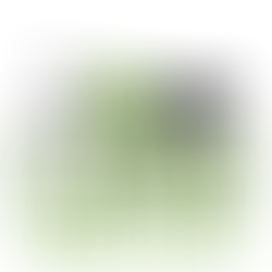 Love Respect All Wildlife