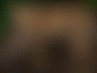 Spotted cat holding a rat in its mouth stands on dark soil, surrounded by green leaves. The scene is natural and intense.