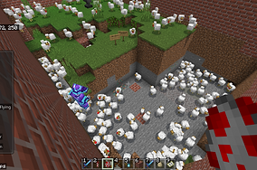chickens.png