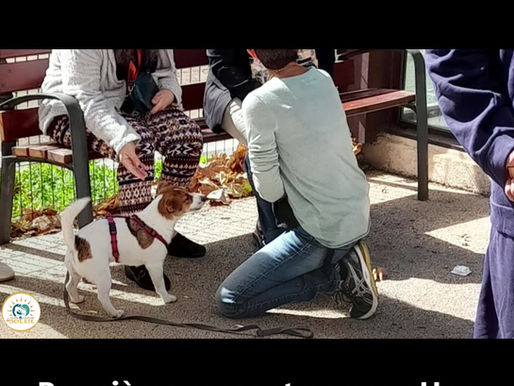 29 septembre 2024 : Lucia et Uno, première séance chien visiteur