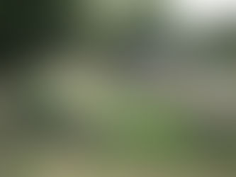 Août 2011 - mars 2012 : Des travaux non forcés et dans la gaiété